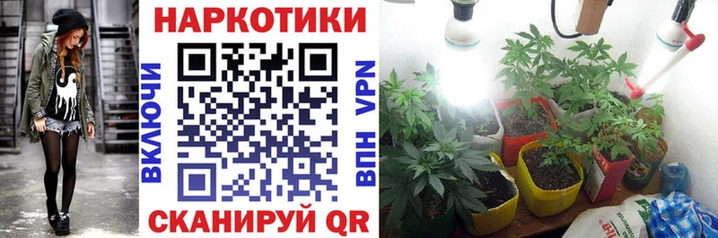 Как найти наркотики Калач-на-Дону Канабис  COCAIN  А ПВП  Меф мяу мяу 