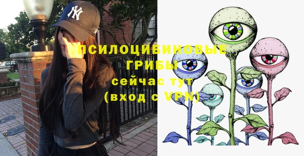 героин Алзамай