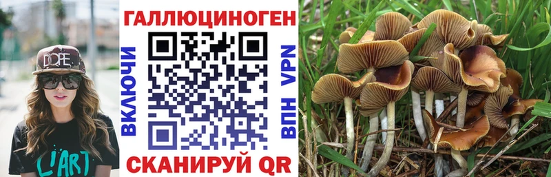 Галлюциногенные грибы GOLDEN TEACHER продажа наркотиков Калач-на-Дону